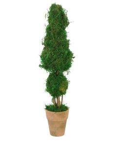 Cone and Ball Topiary with Moss in Hand Thrown Stoneware Pot with Aged Terracotta Finish.