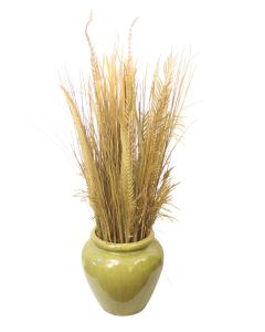 Natural grasses, Cycas in Tuscan Planter