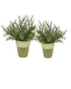 Rosemary in Green Planter (Large and Small in Set)