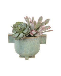 Panda, Hen & Chicken Succulents in Turquoise Planter