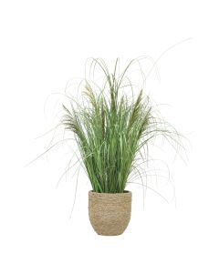 Mixed Grasses, Preserved Reeds in Rope Planter