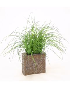 Grass in Small Bronze Rectangle Vase