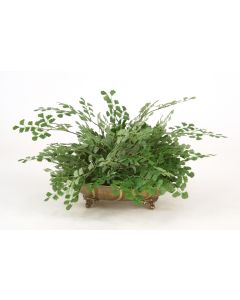 Maiden Hair Fern in Antique Brass Tray (Sold in Multiples of 2)