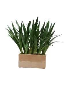 Orchid Foliage in Mocha Leather Finish Rectangular Stone Planter