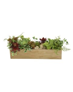 Mix of Succulents with Ferns and Grasses in Wooden Wall Box