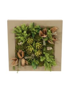 Square Wooden Box with Succulents and Artichokes