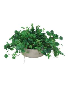 Geranium Bush in Grey Wash Bowl