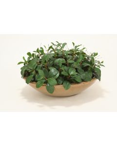 Sculpted Greenery in Round Mocha Glazed Stoneware
