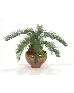 Cycas Palm Floor Plant in Autumn Red Earthenware Planter