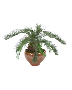 Cycas Palm Floor Plant in Autumn Red Earthenware Planter