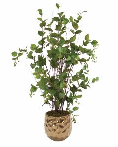 Elm Floor Plant in Large Burnt Gold Gabi Pot