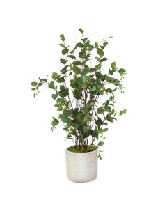 Elm Floor Plant Gray Stone Planter