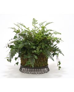 Fern & Ivy in Wire Basket