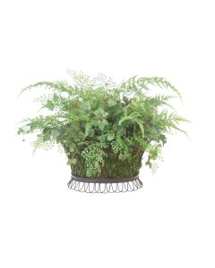 Fern & Ivy in Wire Basket