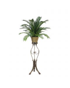 Cycas Palm in Planter with Ram Head Plant Stand