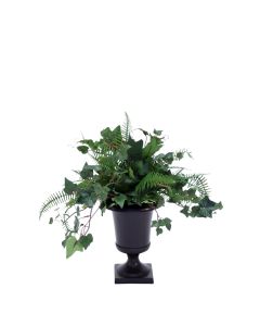 Mountain Ivy, Fern in Metal Urn