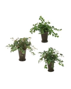 Mt Ivy in Mint Julep Vases Set of 3