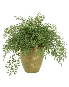 ***Discontinued***Smilax Plant Wreathed with Honeysuckle Vines in Olive Green Stoneware