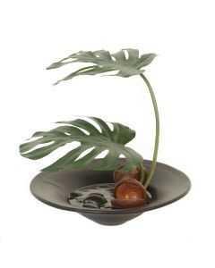 Split Leaf Philo Leaves, Pods in Black Ceramic Bowl