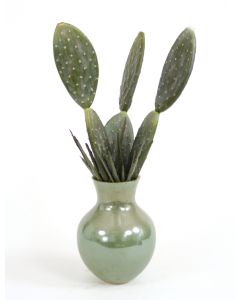 ALOE & CACTUS N/SPA GREEN SANTE FE VASE