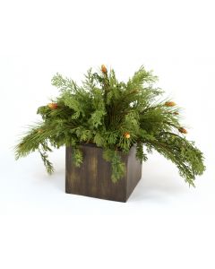 ***Discontinued***  Cedar and Pine Boughs in Antbrown Wood Box with Lid