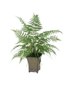 Forest Fern in Toleware Planter in Lion Motif Planter