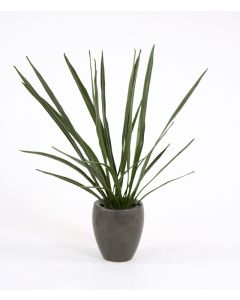 Orchid Blades in Rustic Bronze Finish Pot