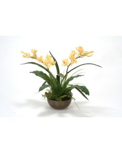 Pale Yellow Cymbidium Orchid Plants with Ferns in Metal Bronze Bowl
