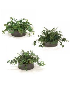 Greenery Assortment Set of 3 in Bronze Container