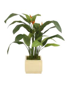 Heliconia Leaf Floor Plant in Square Ivory-Glazed Stoneware