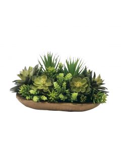 Hen and Chickens with Succulents in Wooden Bowl