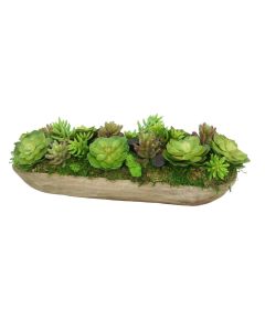 Hen and Chickens with Succulents in Wooden Tray