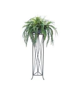 Boston Fern in Stone Bowl in Large Plant Stand