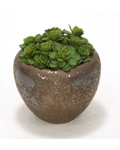 Hen & Chicken in Large Bronze Pot (Pack of 2)