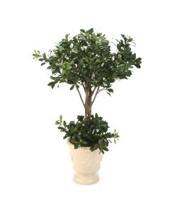 2-Level Pittosporum Topiary In Ivory Fleur De Lis Pattern Ceramic Urn