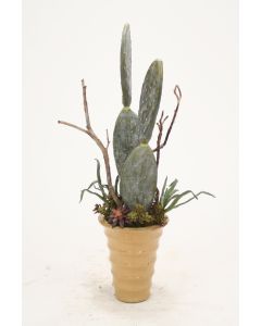 Mixed Succulents with Dragon Wood in Flared Round Planter