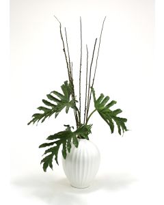 Selloum Philodendron in White Fluted Porcelain Vase