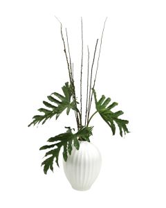 Selloum Philodendron in White Fluted Porcelain Vase
