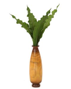 Green Anthurium Leaves (Drop-Ins) In Wood Vase