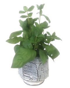 Basil Foliage in Distressed Blue and White Planter