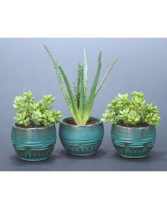 Set of 3 Faux Succulents in Antique Turquoise Bowls - 1 Large, 2 Small