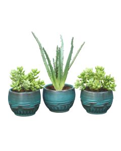 Set of 3 Faux Succulents in Antique Turquoise Bowls - 1 Large