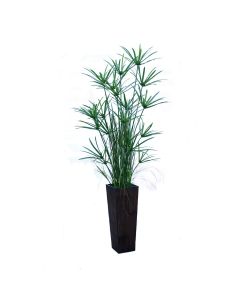 Papyrus Floor Plant in Crushed Bamboo Planter