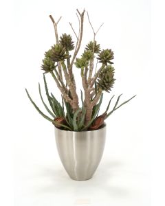 Mixed Aloe and Succulents with Natural Product in a Metal Vase