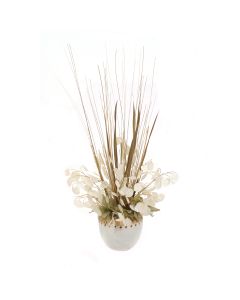 Money Plant in Cream White Rattan Planter