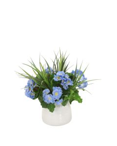 Blue Primrose Mix in White Container