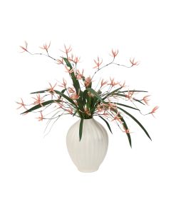 Spider Orchids with Foliage in Porcelin Pot