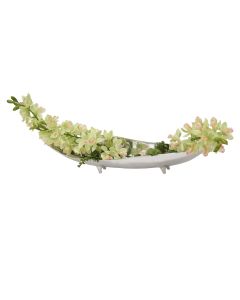 Cymbidium Orchids with Succulents in Long Silver Tray