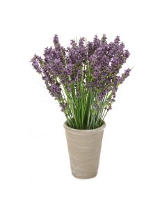 Dried Lavender in Grey Planter (Pk 2)