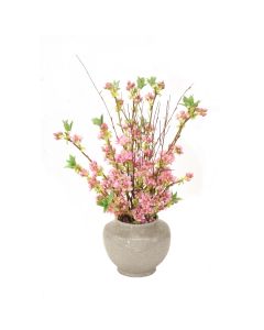 Pink Pear Blossom in White Crackle Pot